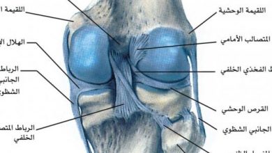 ما هي الأساليب المختلفة لـ علاج غضروف الركبة