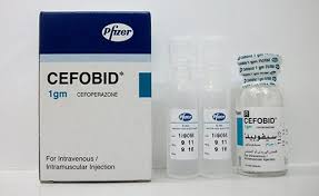 دواء سيفوبيد Cefobid مضاد حيوي يقضي على العدوى البكتيرية