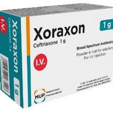 دواء زوراكسون Xoraxon مضاد حيوي يقضي على العدوى الالتهابية البكتيرية