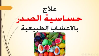 علاج حساسية الصدر بالأعشاب للكبار ونصائح لـ التعامل مع الأعراض