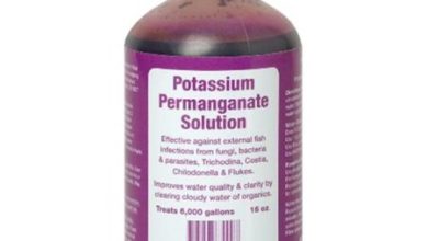 مطهر برمنغنات البوتاسيوم Permanganate Potassium