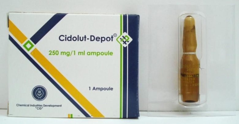 CIDOLUT DEPOT سيدولت ديبوت