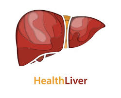 دواء HIPAMAX PLUS هيبامكس بلس للحفاظ علي الكبد
