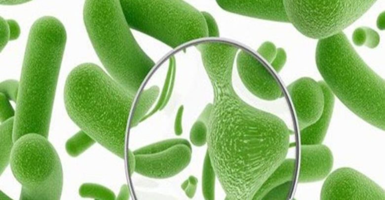 TRI - BETAPRONATE تراي بيتابرونات