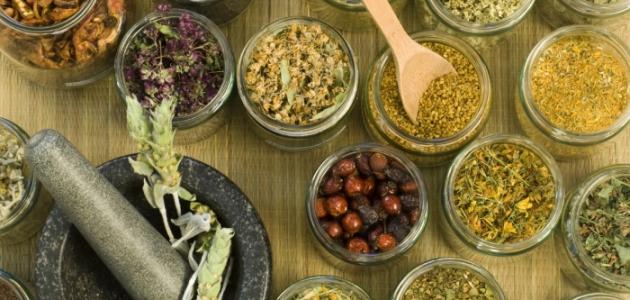 علاج الحساسية الصدرية وضيق التنفس بالأعشاب الطبيعية
