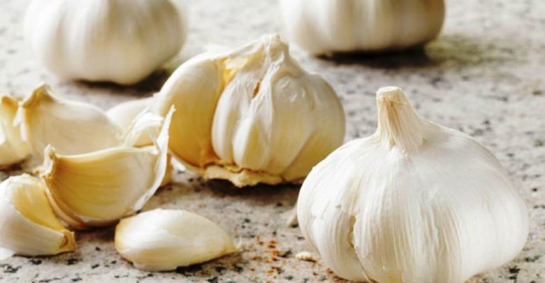 الثوم مضاد حيوي طبيعي لعلاج الالتهابات