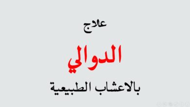 علاج الدوالي بالاعشاب