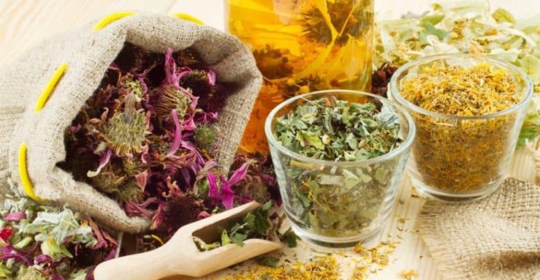 علاج نزلات البرد بالاعشاب