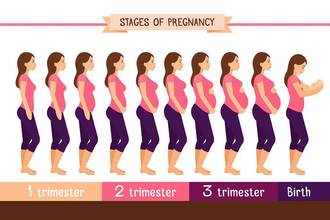 اسابيع الحمل وحسابها والأعراض التي تميز كل مرحلة