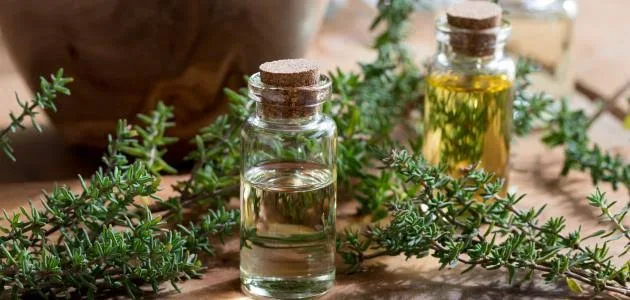علاج فطريات المهبل بزيت الزعتر البري