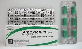 amoxicillin 500 دواعي الاستعمال مضاد حيوي كبسولات