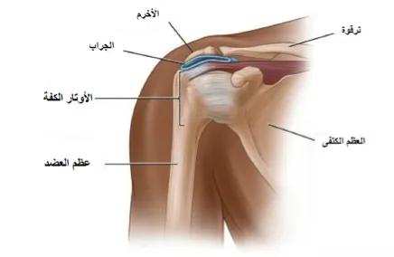 الم الكتف الأيمن