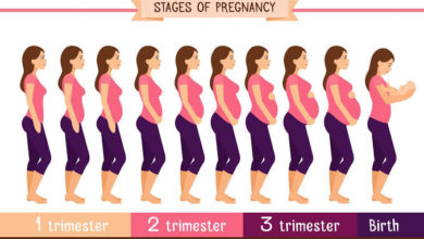 طرق حساب اسابيع الحمل بالاشهر ونصائح مهمة للحامل