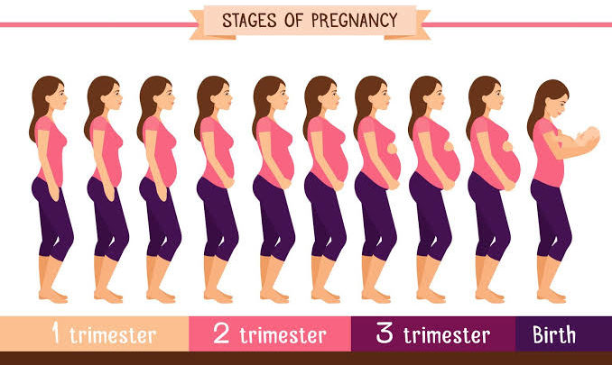 طرق حساب اسابيع الحمل بالاشهر ونصائح مهمة للحامل