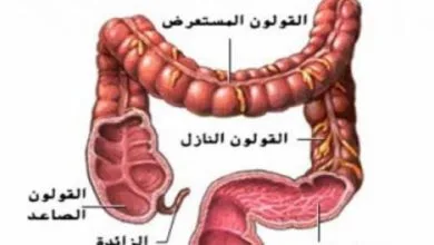 افضل علاج للقولون من الصيدليه