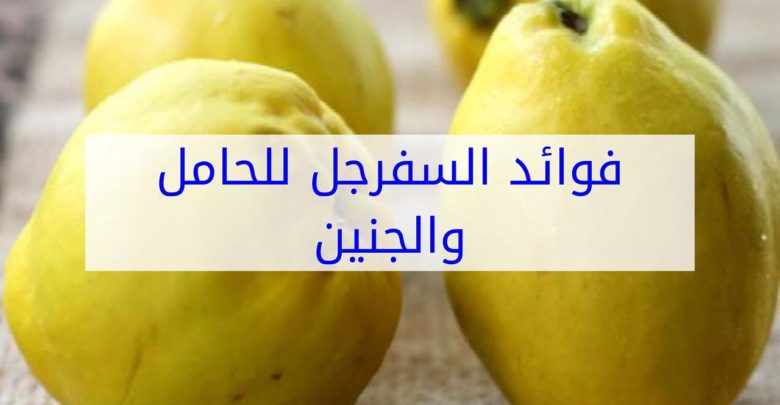 فوائد السفرجل للحامل