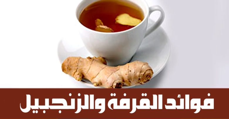 فوائد القرفة و الزنجبيل