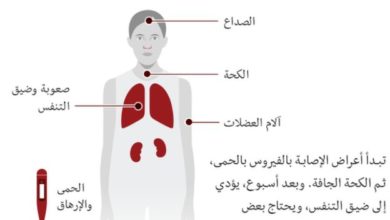 رأى العلماء والأطباء في كورونا فيروس 2020