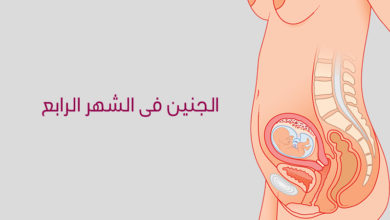 اعراض الحمل في لشهر الرابع