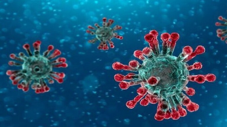 فيروس كورونا يأخذ شكل التاج وهو من الفيروسات التاجية