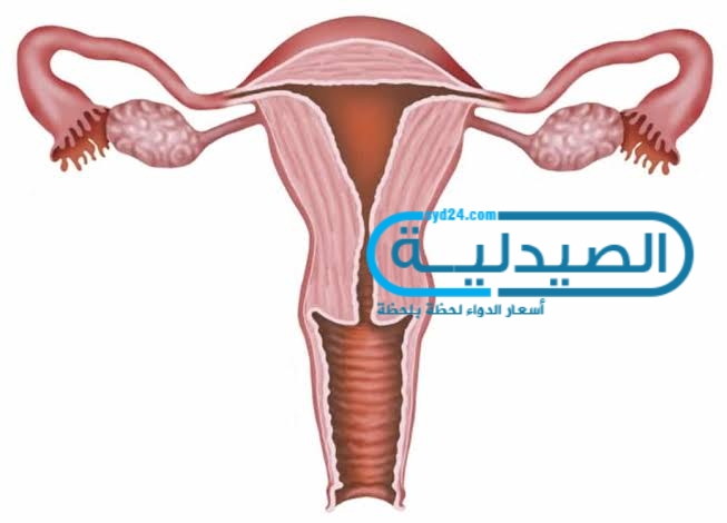 اعراض سرطان الرحم