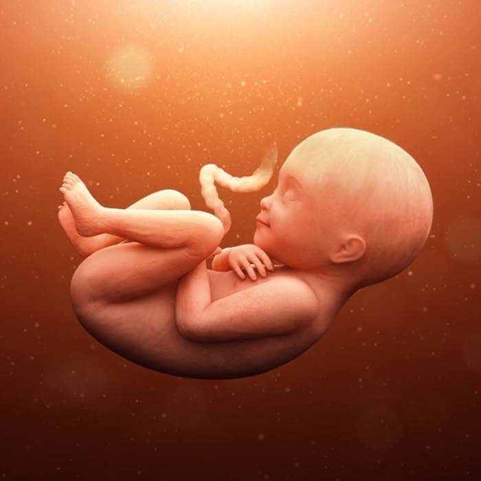 الجنين في الاسبوع 35 من الحمل وأهم الأعراض التي تشعر بها الحامل