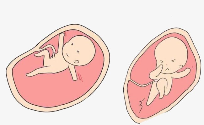 متى-تحس-الحامل-بحركة-الجنين