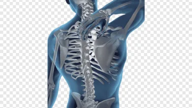 علاج وجع الظهر