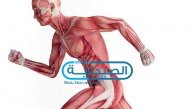 علاج التهاب وتشنجات العضلات