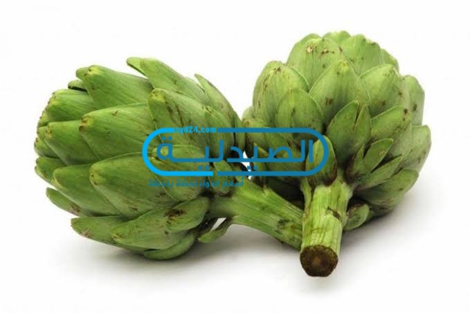 الخرشوف فوائده وأضراره