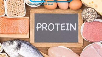 مصادر البروتين لـ الجسم