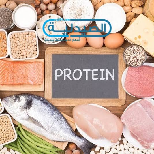 مصادر البروتين لـ الجسم