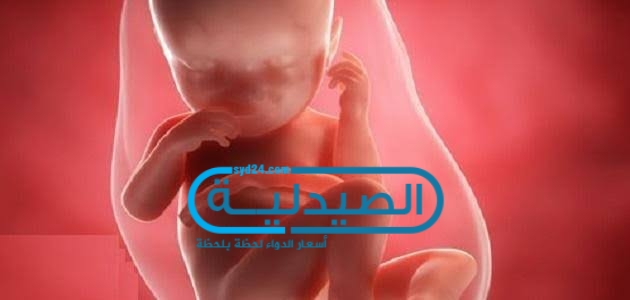 تطورات تكوين ونشأة الجنين في الشهر السابع