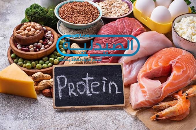 كم يحتاج الجسم من البروتين ؟