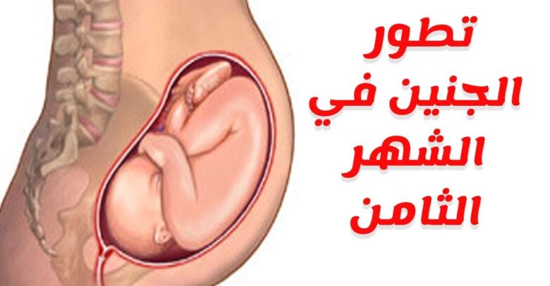 أعراض الشهر الثامن من الحمل ونمو الجنين ونصائح للحامل