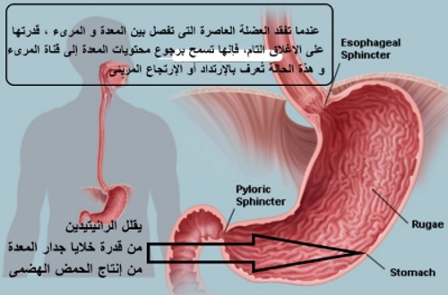 دواعي استعمال رنتاج