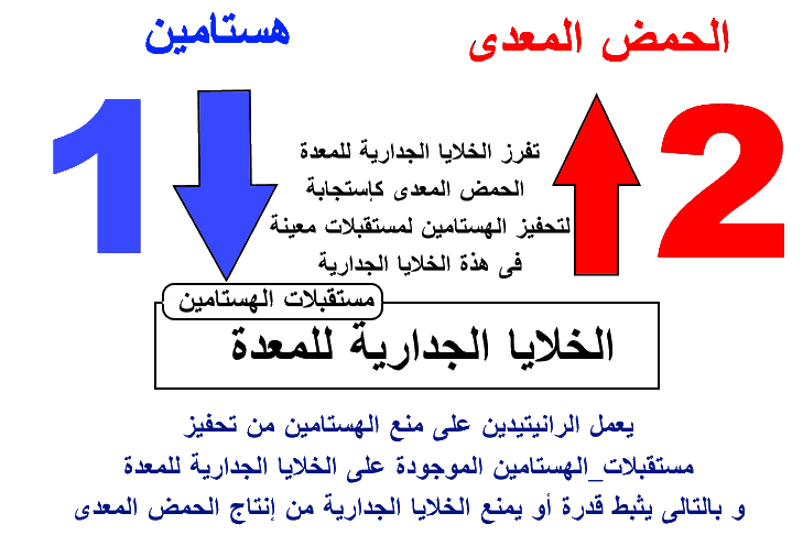 فوائد مادة رانتدين 