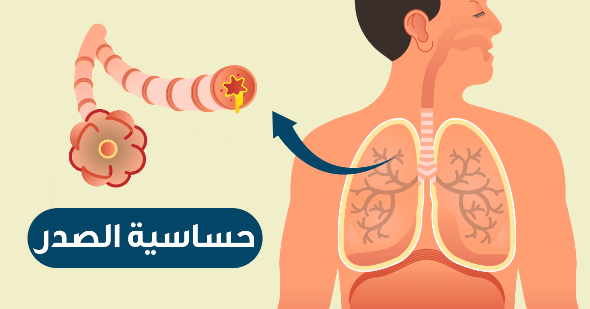 ادوية علاج الحساسية 