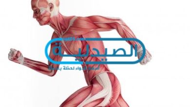 طرق علاج الشد العضلي والتشنجات