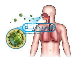 علاج البلغم في المنزل