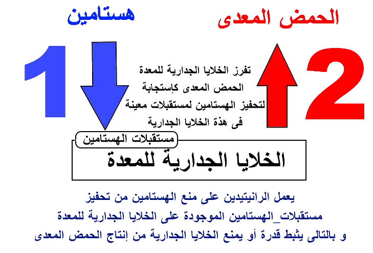 دواء رنتاج للحموضة 