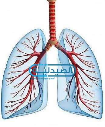 علاج التهابات الشعب الهوائية