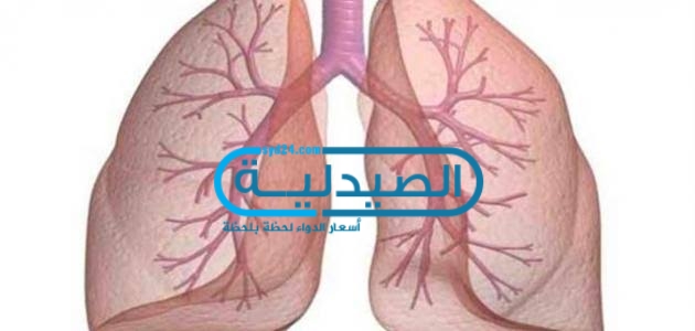 علاج التهابات الشعب الهوائية