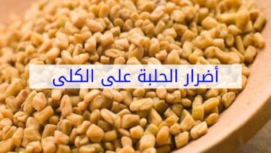 اضرار الحلبة على الكلى