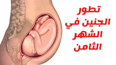 تطور الجنين في الشهر الثامن من الحمل