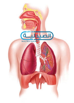 علاج ضيق الشعب الهوائية