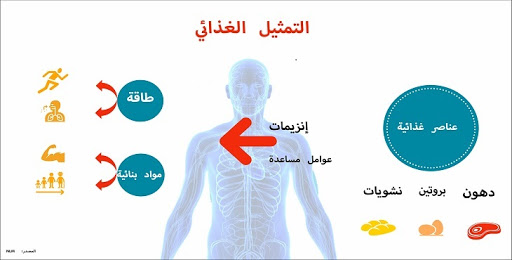 أسباب متلازمة الأيض