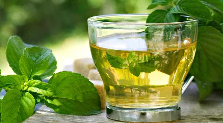 أضرار الشاي الأخضر على الصحة 