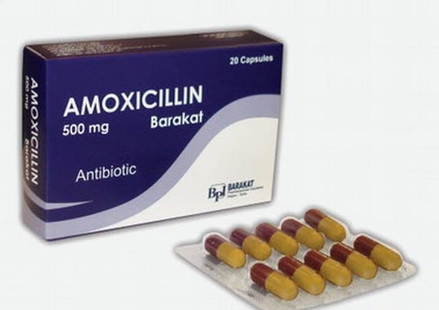 Amoxicillin 500mg والحمل والرضاعة الطبيعية