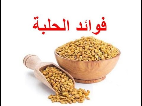 العناصر الموجودة في الحلبة